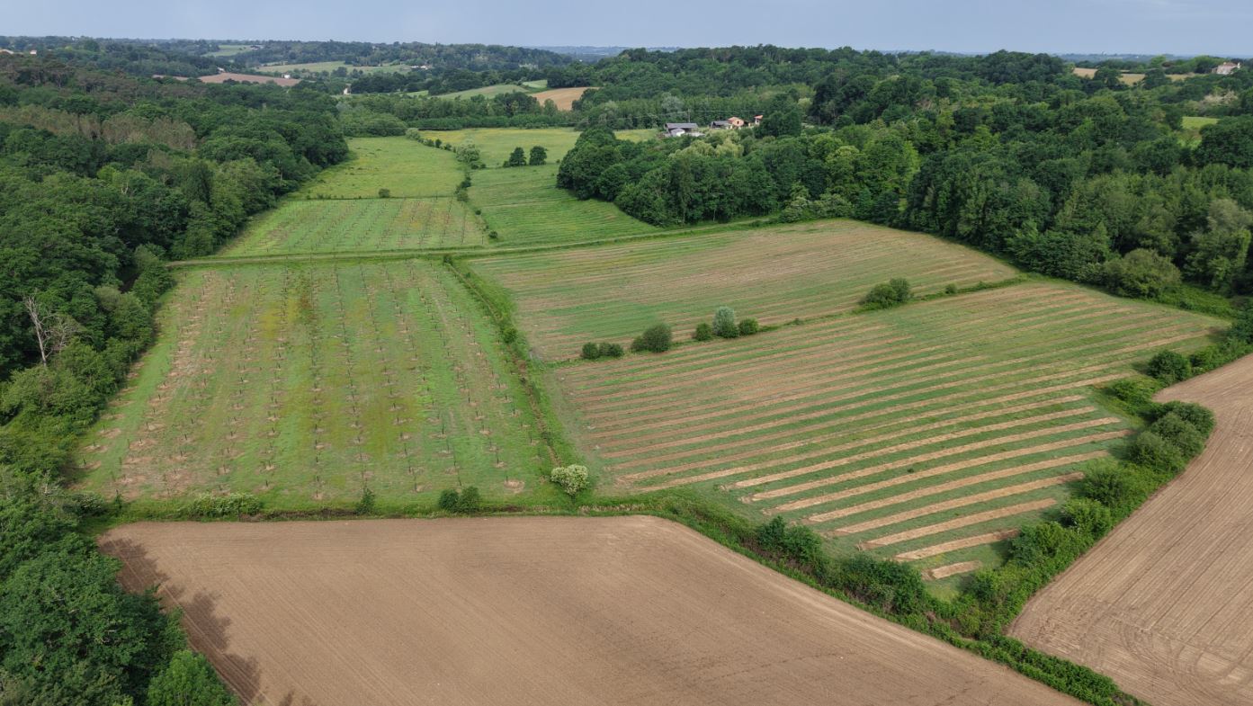 Création de 5,67 hectares de forêts à Sainte-Colombe