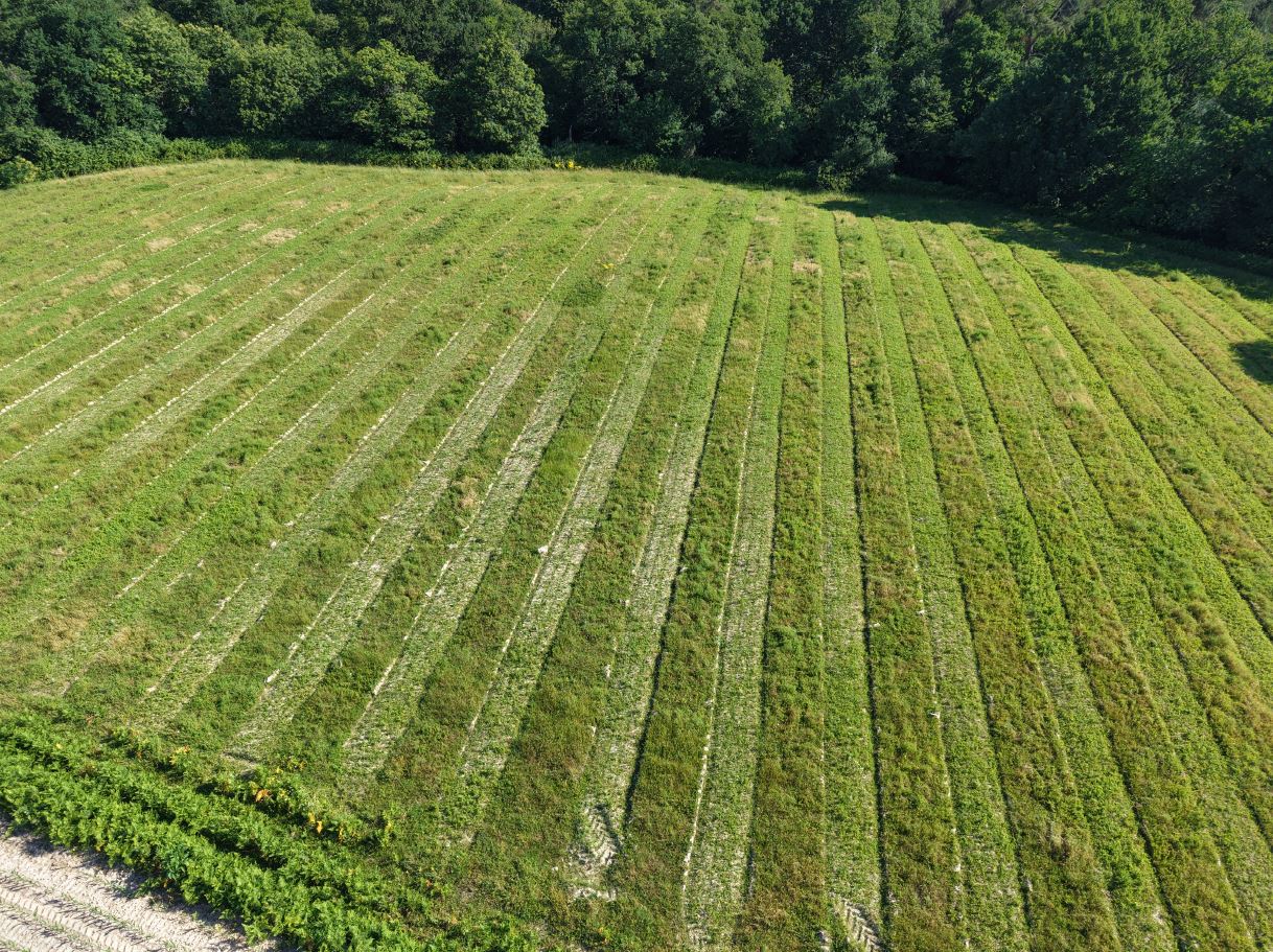 Création de 7,65 hectares de forêts à Sainte-Colombe