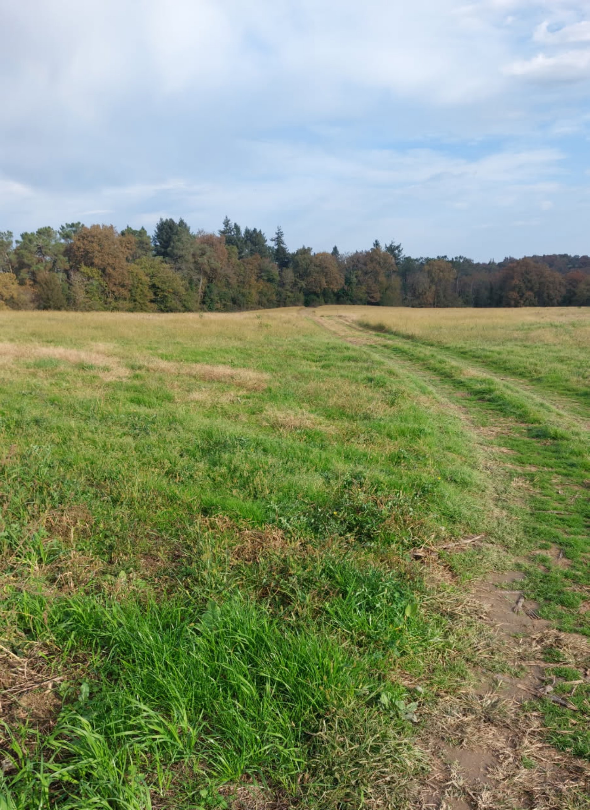 Extension de 7,28 hectares d'une forêt à Eugénie-les-Bains — 1