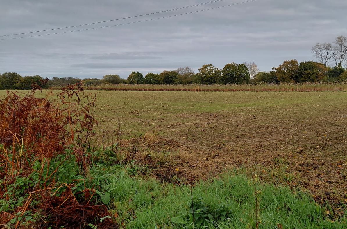 Extension of a hazelnut orchard by 6.84 hectares in Côtes d'Armor — 1