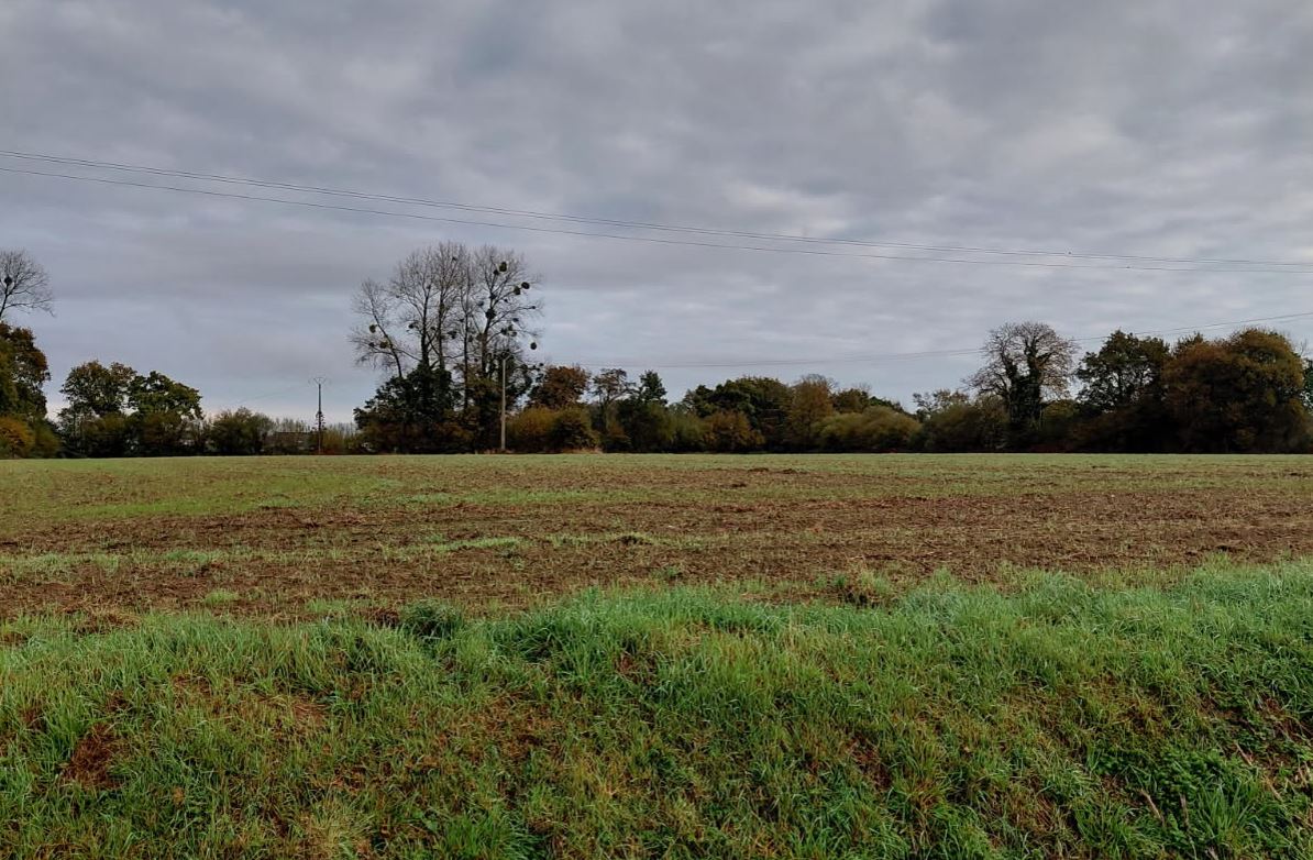 Extension of a hazelnut orchard by 6.84 hectares in Côtes d'Armor — 2