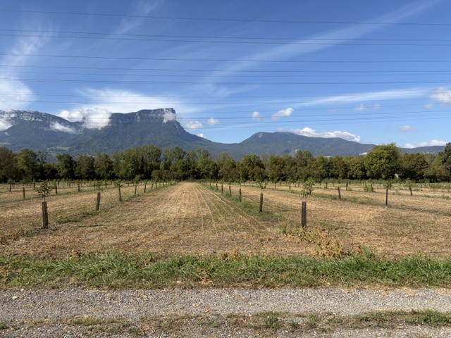 Extension d'un verger en Savoie