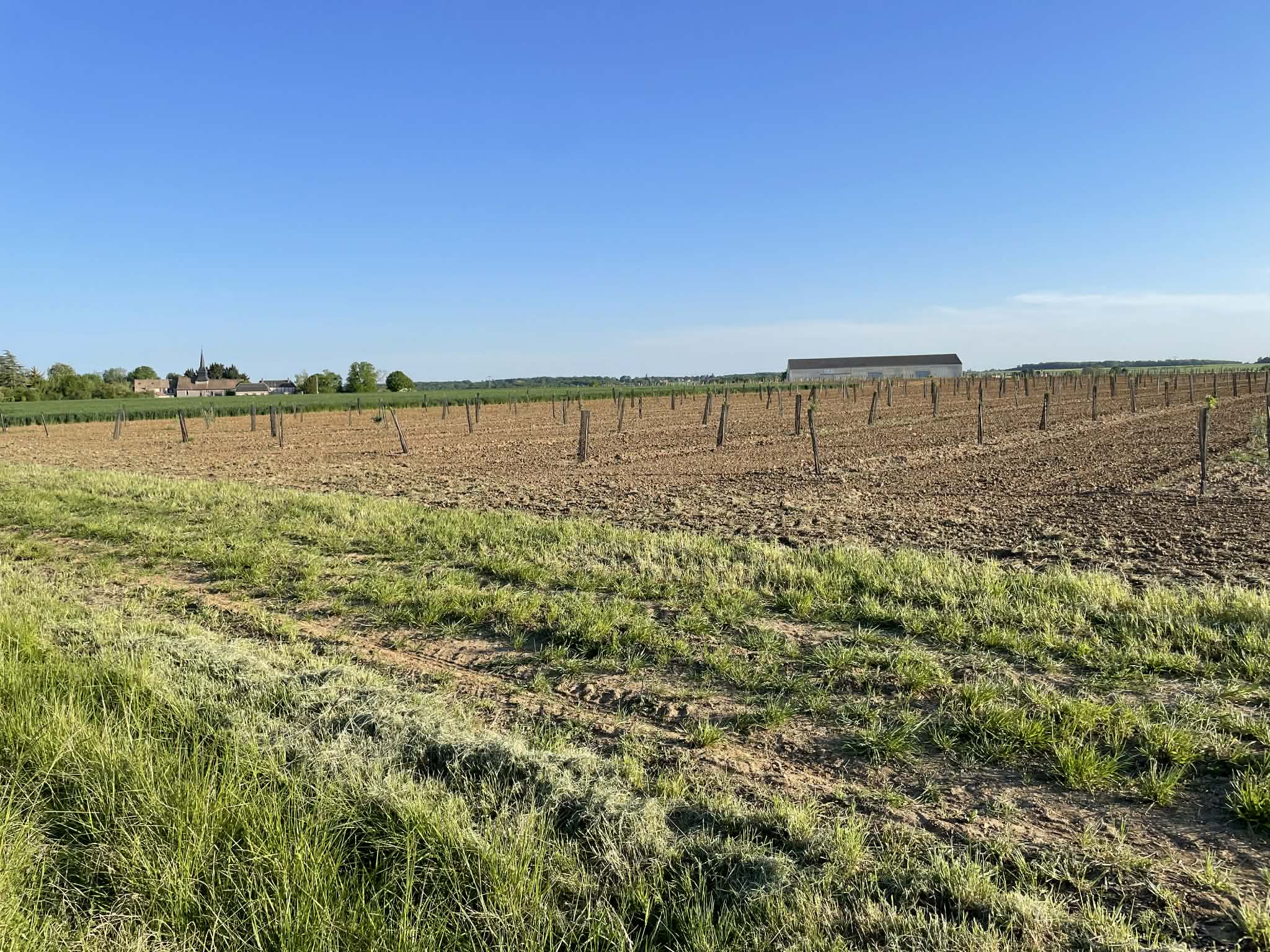 Expansion of an organic orchard in the Eure