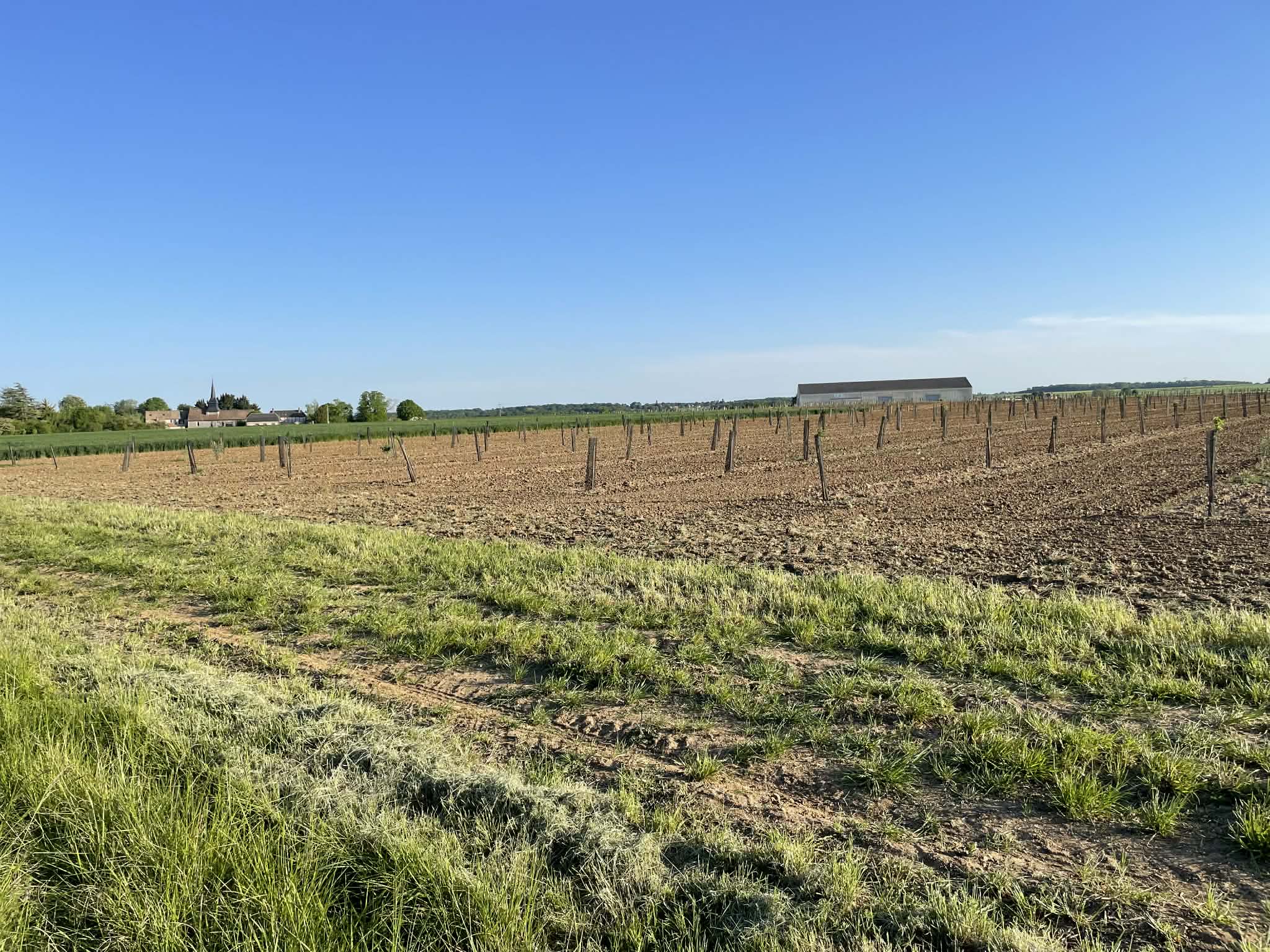 Expansion of an organic orchard in the Eure — 2