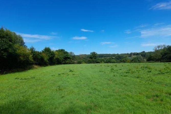 1.6-hectare extension of a forest in Pas-de-Calais — 1