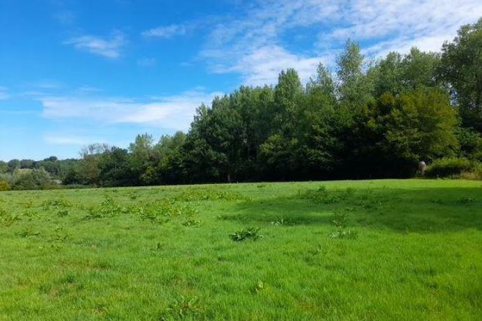 1.6-hectare extension of a forest in Pas-de-Calais — 2