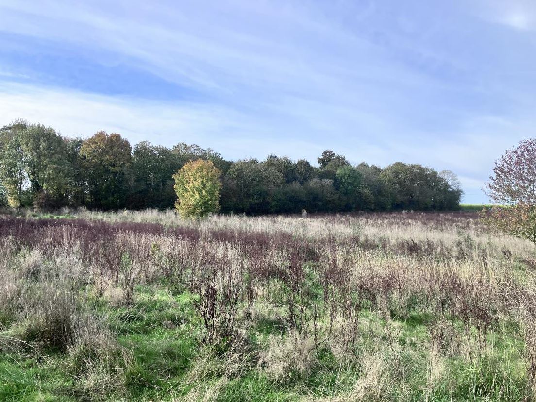 Boisement de 3,9 hectares dans la Sarthe — 1