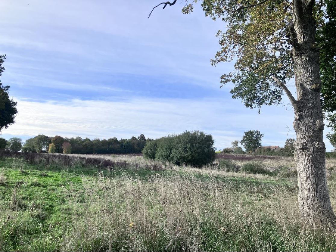 Boisement de 3,9 hectares dans la Sarthe