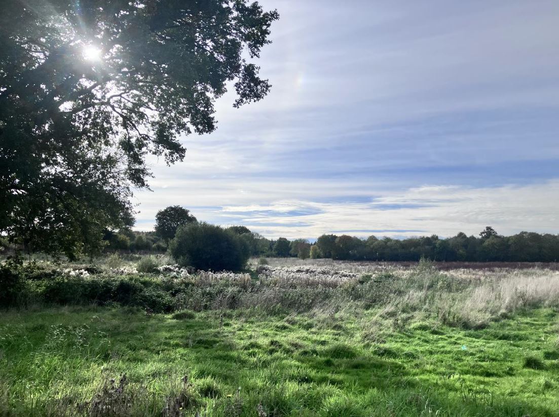 Boisement de 3,9 hectares dans la Sarthe — 2