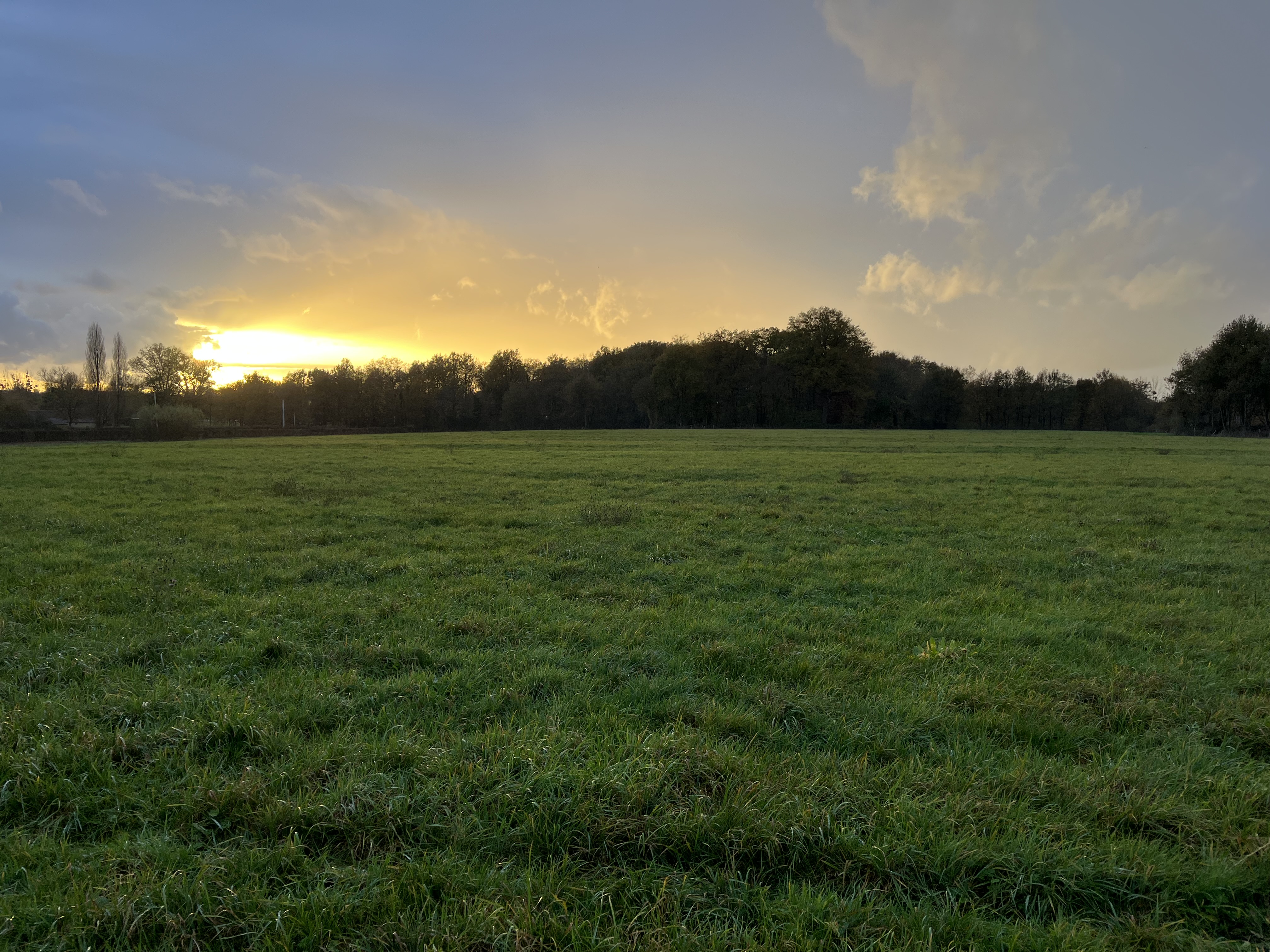 4.5 hectare wooded area in Maine-et-Loire — 1