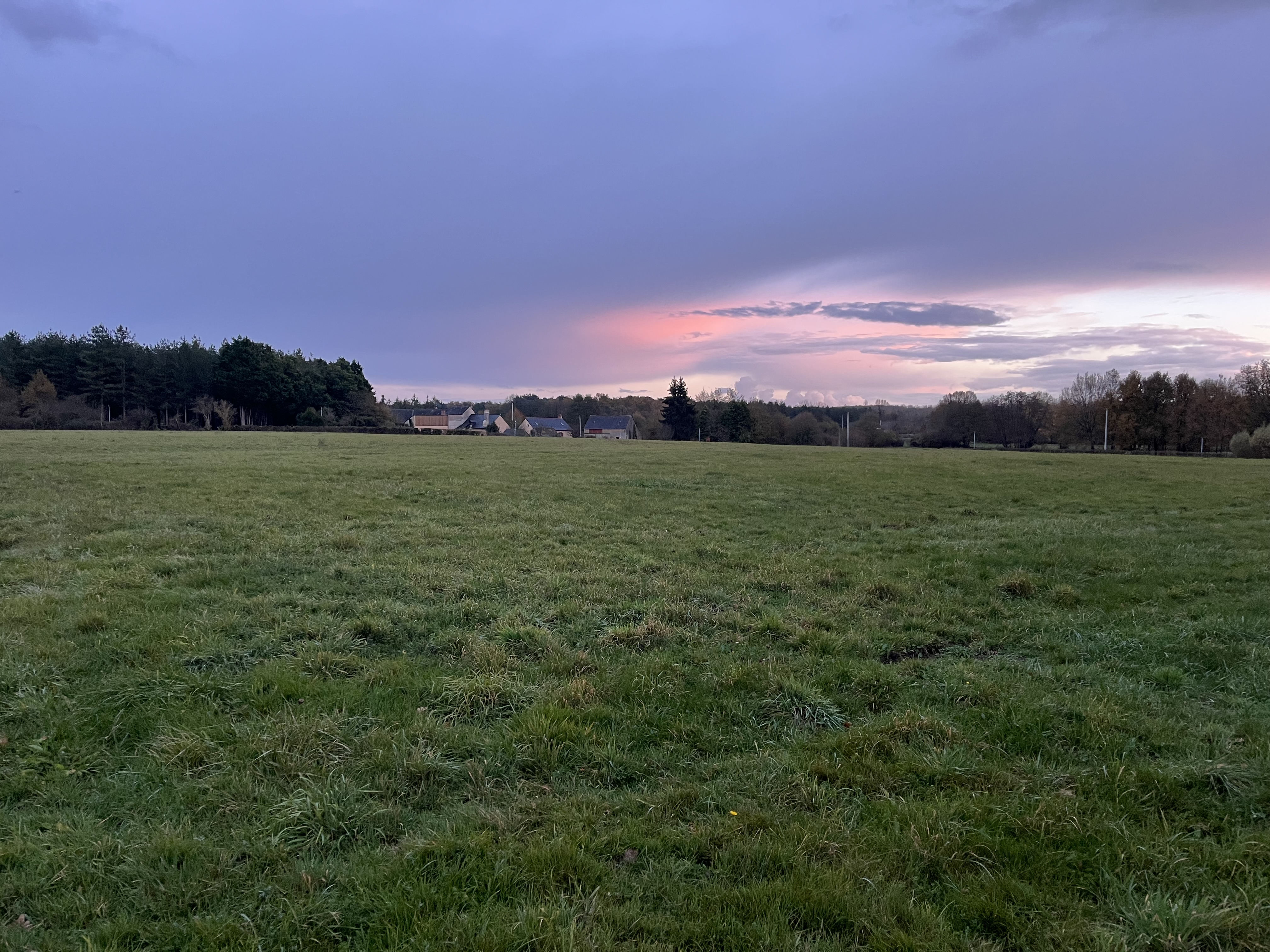 4.5 hectare wooded area in Maine-et-Loire