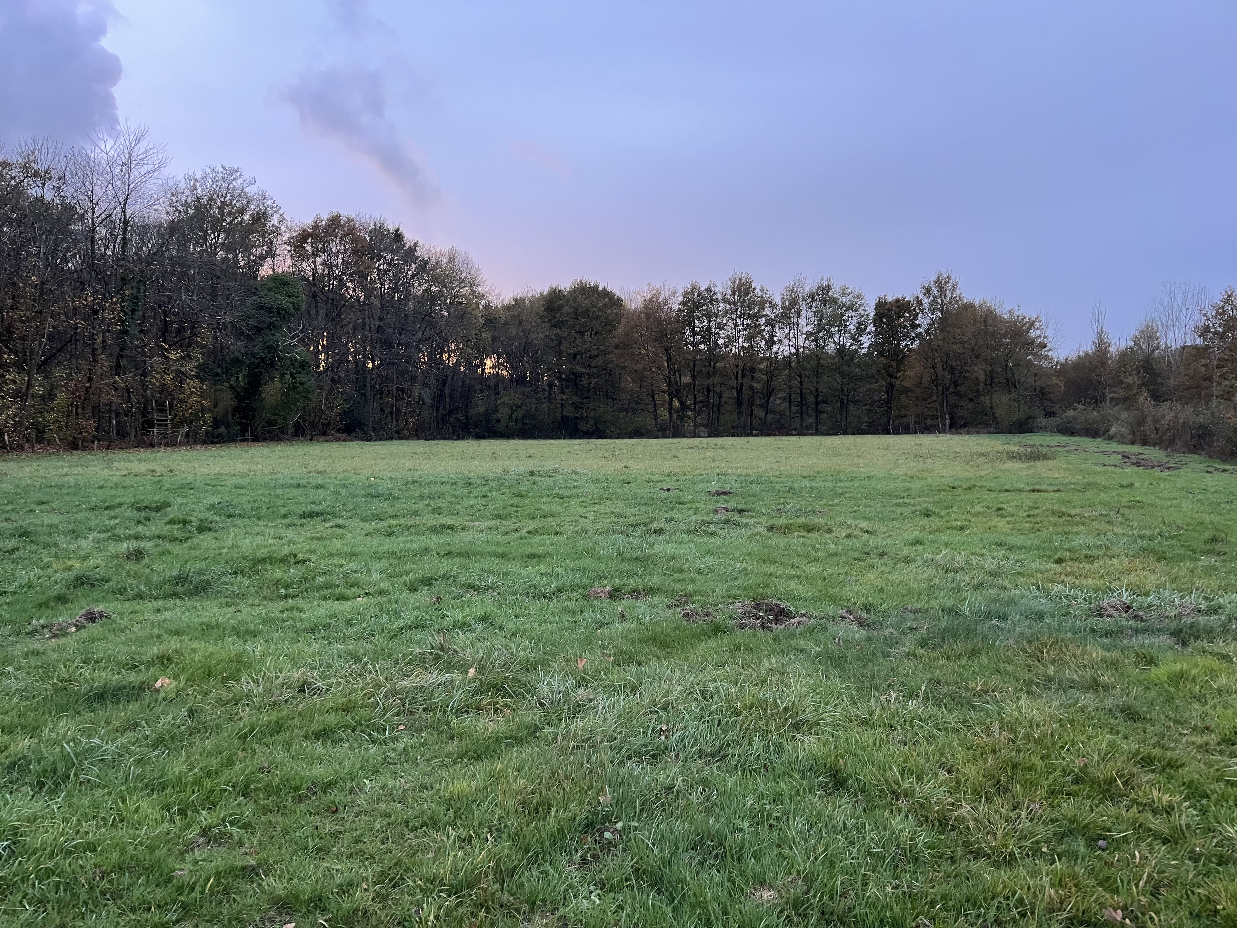 4.5 hectare wooded area in Maine-et-Loire — 2