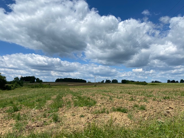 Afforestation of 25.37 hectares across 4 municipalities in Gironde — 1