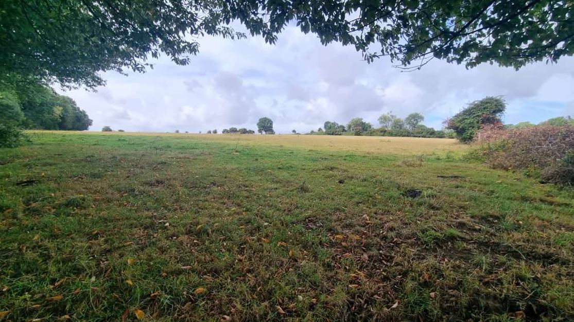 Nouveau boisement de 12,6 hectares à Saint-Pierre-du-Val — 1