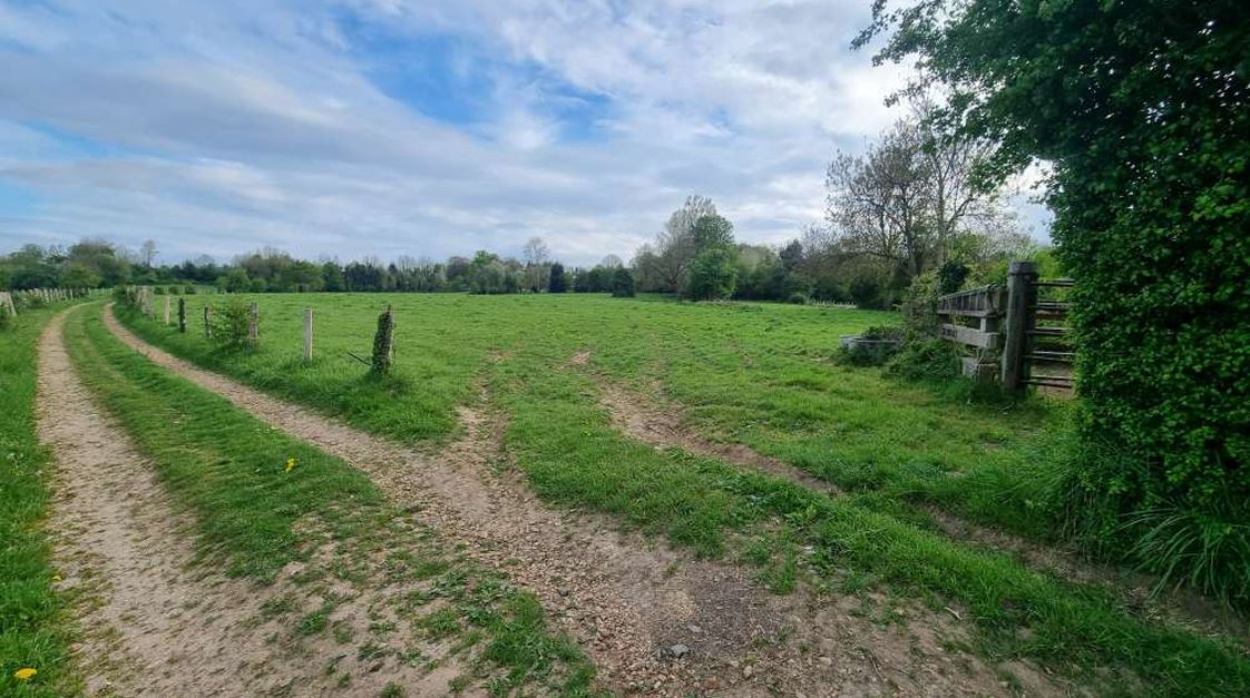 Nouveau boisement de 12,6 hectares à Saint-Pierre-du-Val — 2