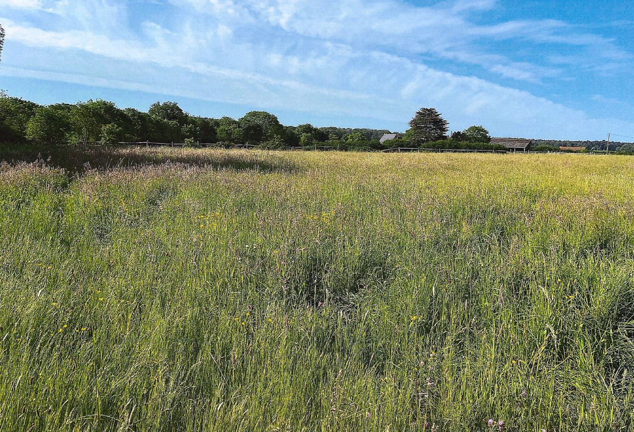 Forest expansion in Val d'Erdre-Auxence — 1