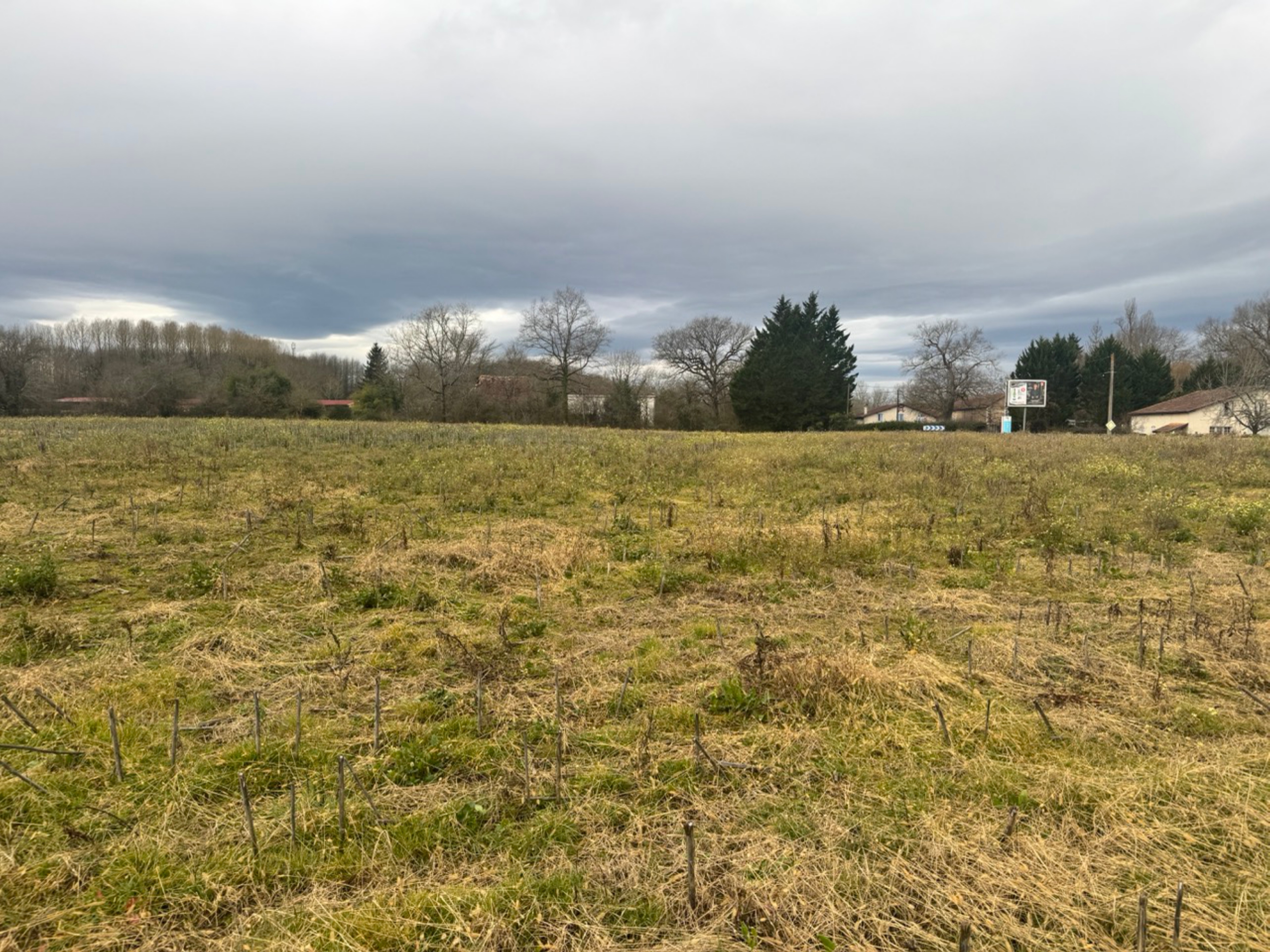 Afforestation of 7.65 hectares in Bonnegarde and Amou — 2