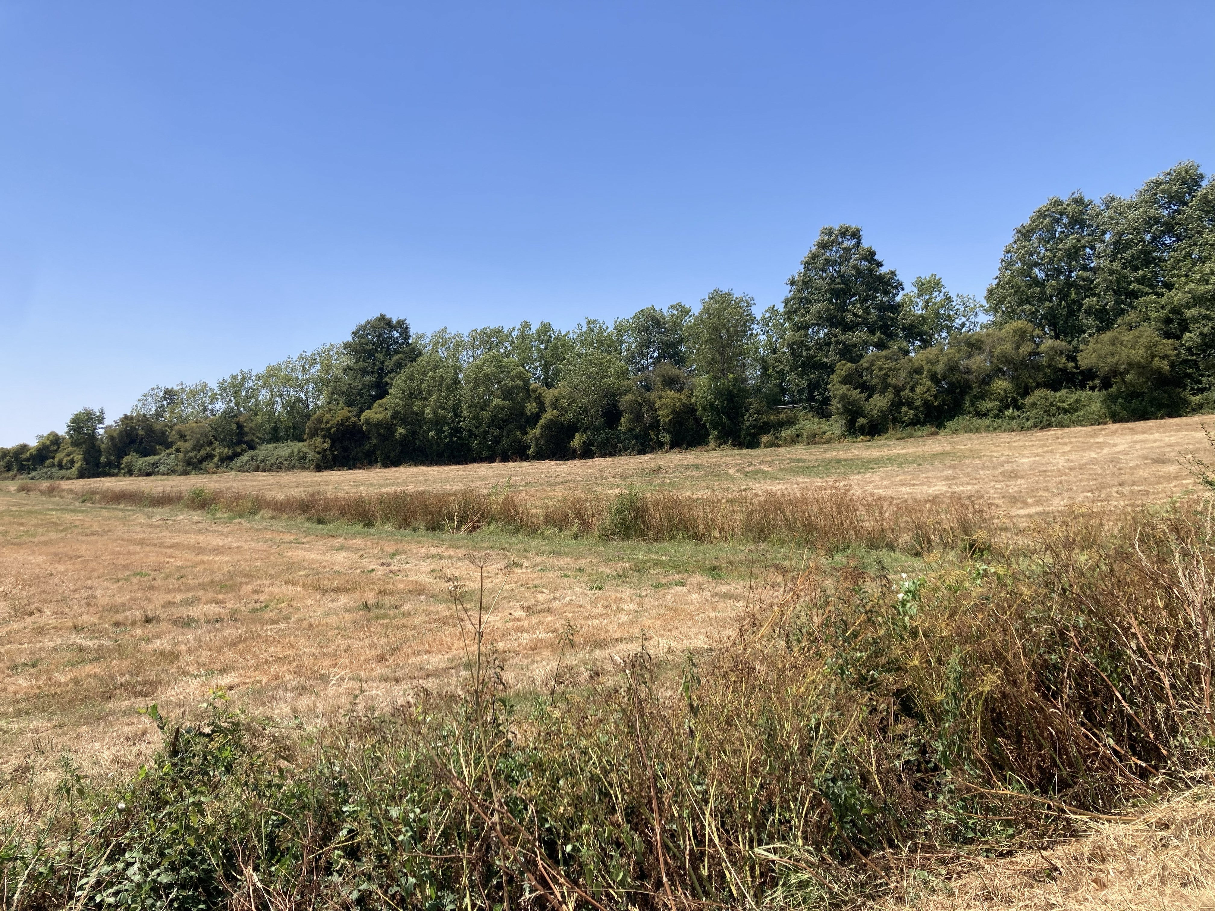 Boisement de 16,22 hectares à La Boissière-des-Landes — 1