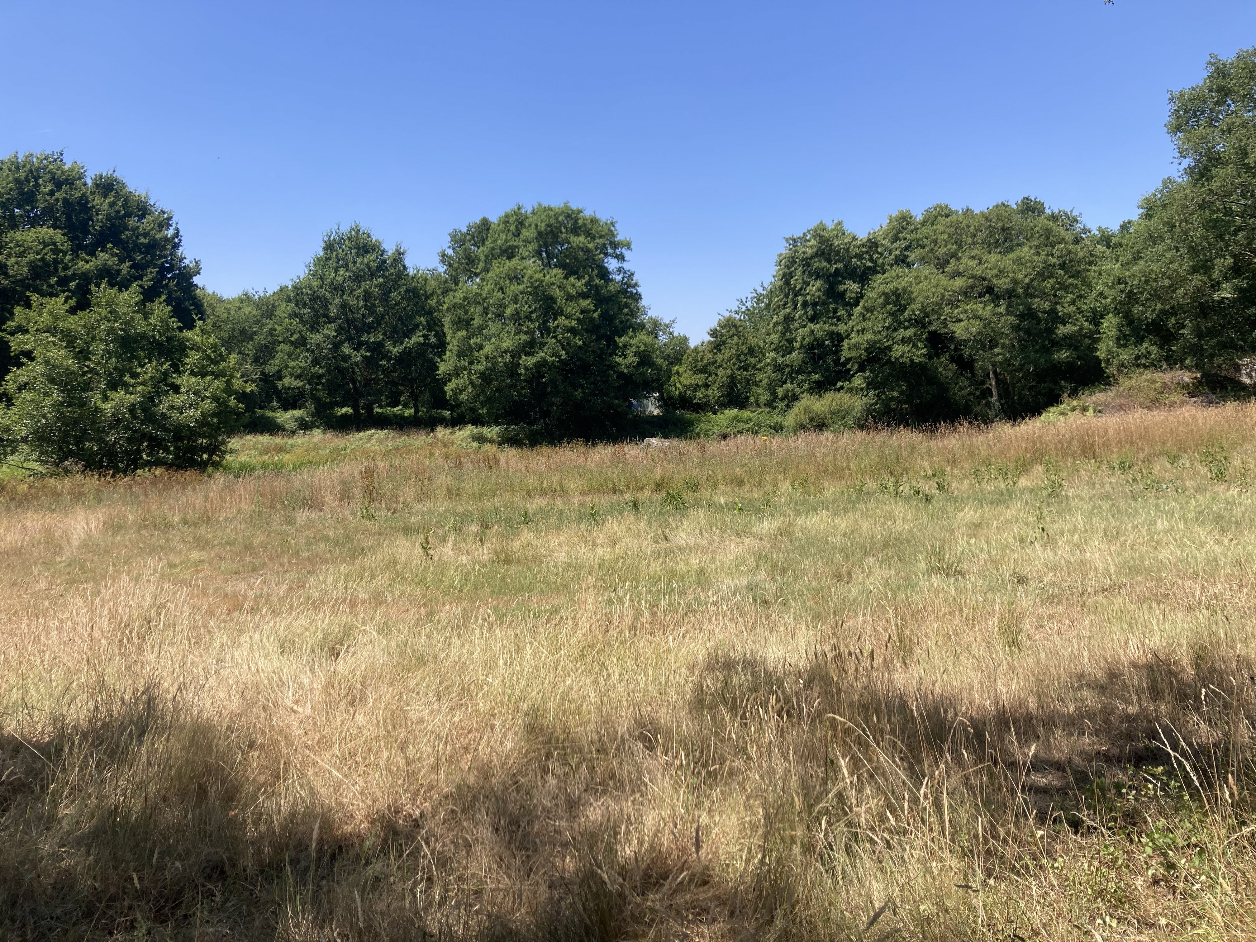 Boisement de 16,22 hectares à La Boissière-des-Landes — 2