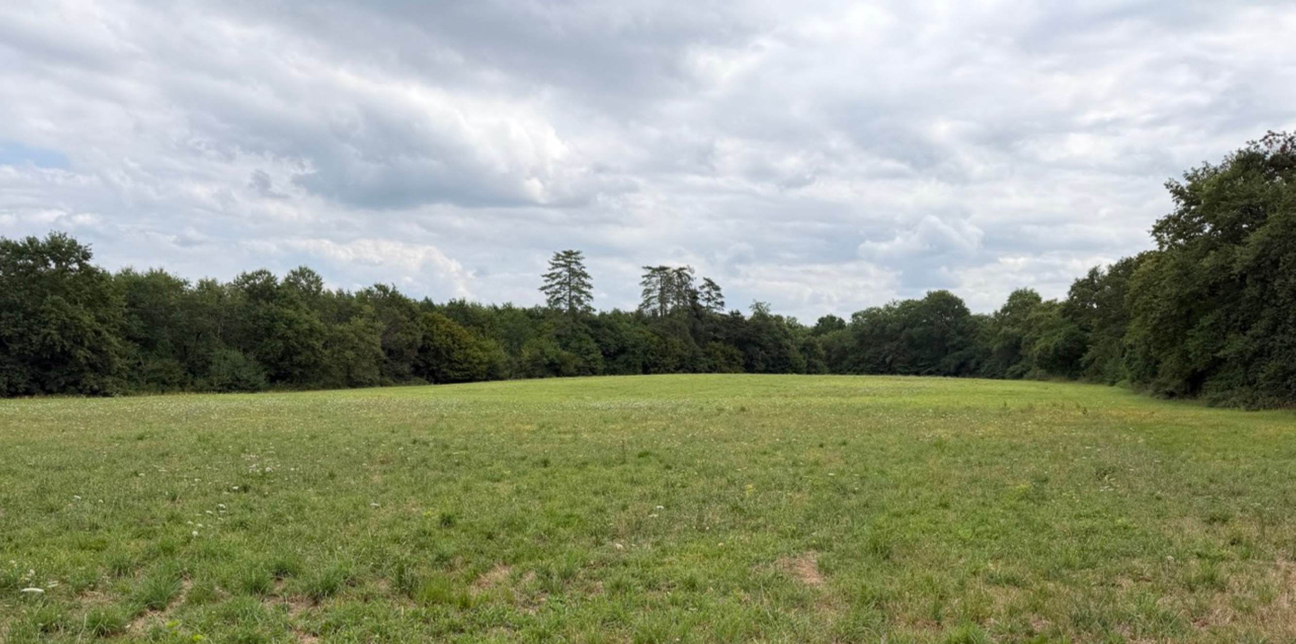 Nouveau boisement de 2,8 hectares à Parleboscq — 2