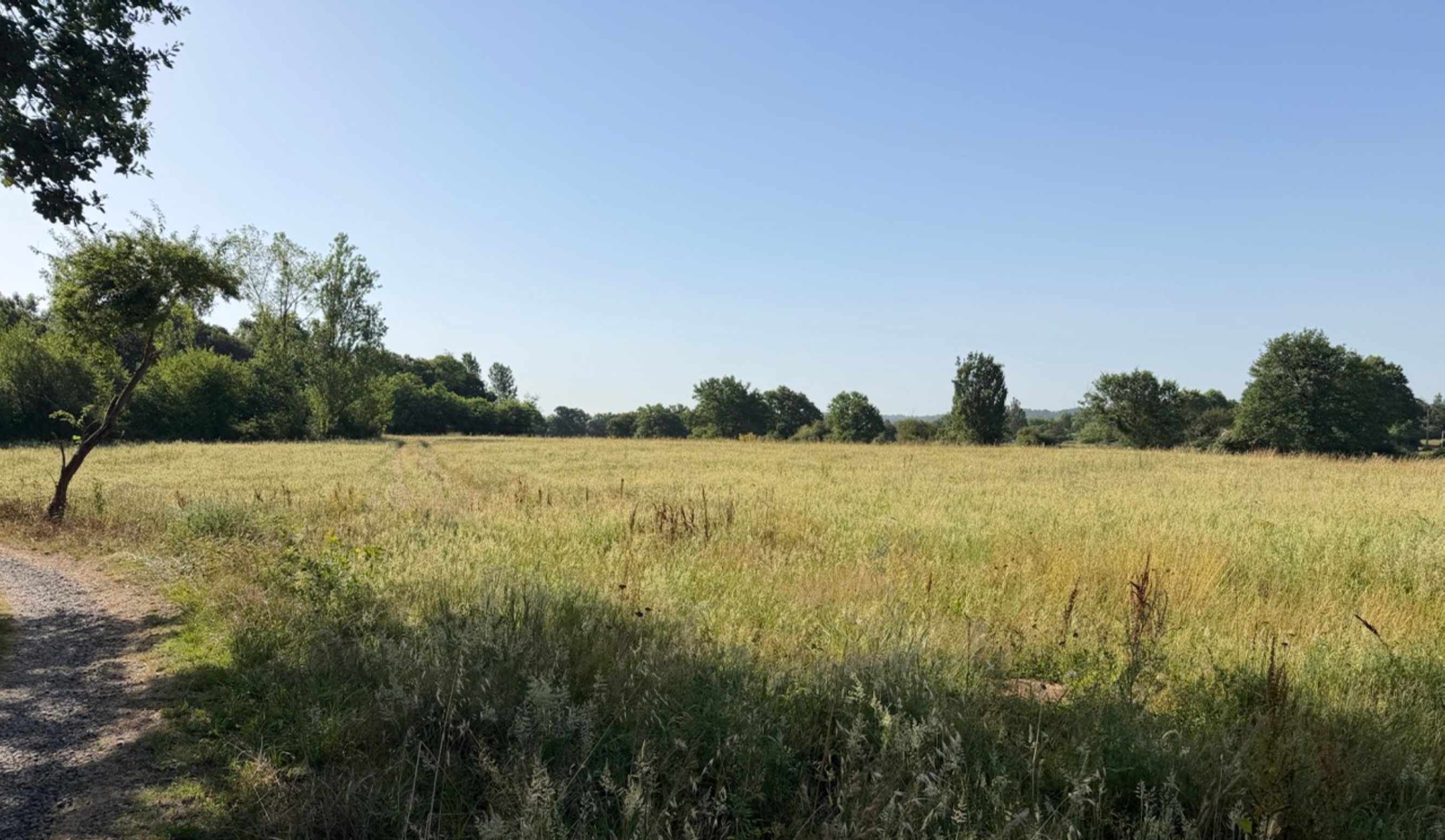 Création de 3,17 hectares de forêts à Grenade-sur-l'Adour