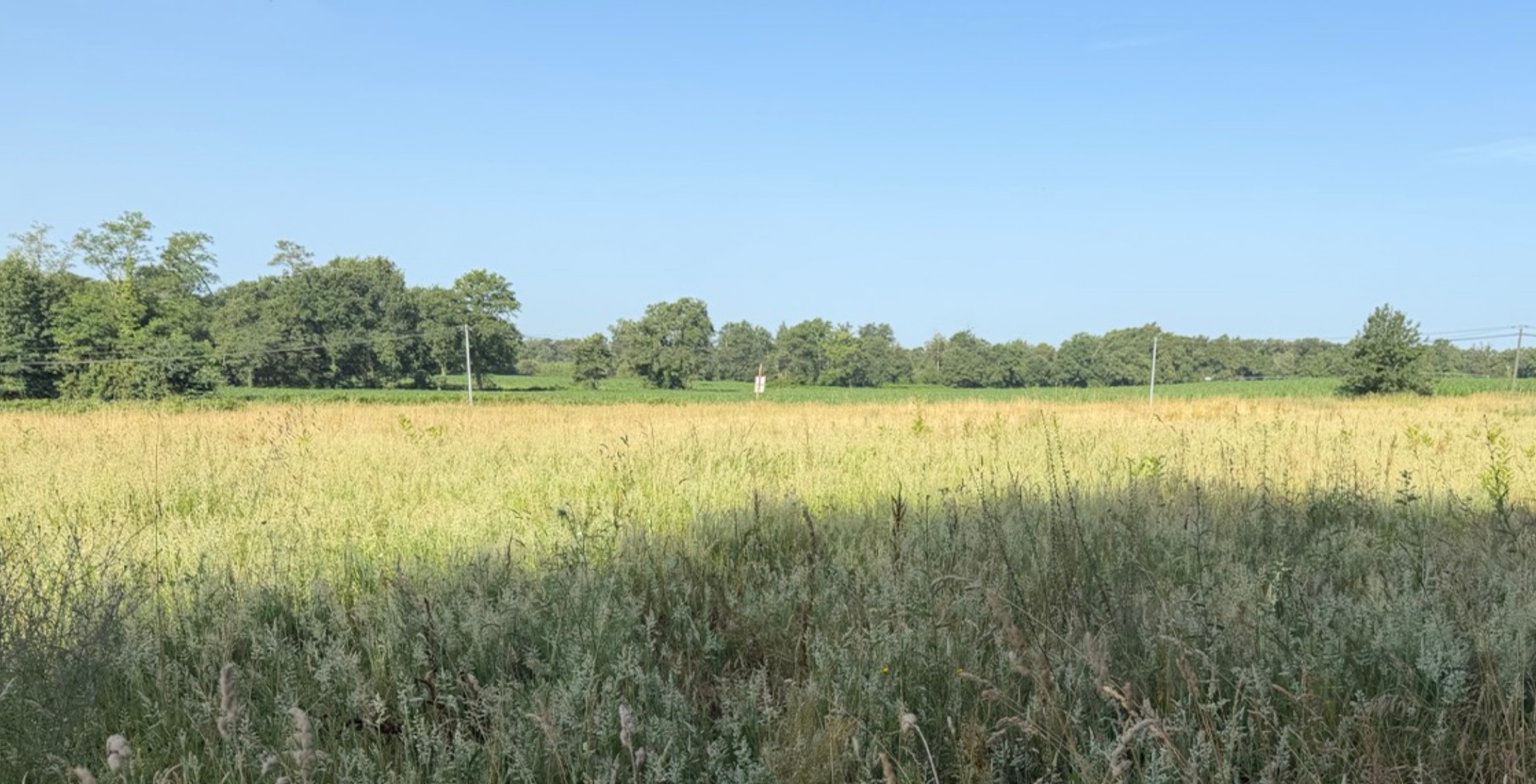 Création de 3,17 hectares de forêts à Grenade-sur-l'Adour — 2