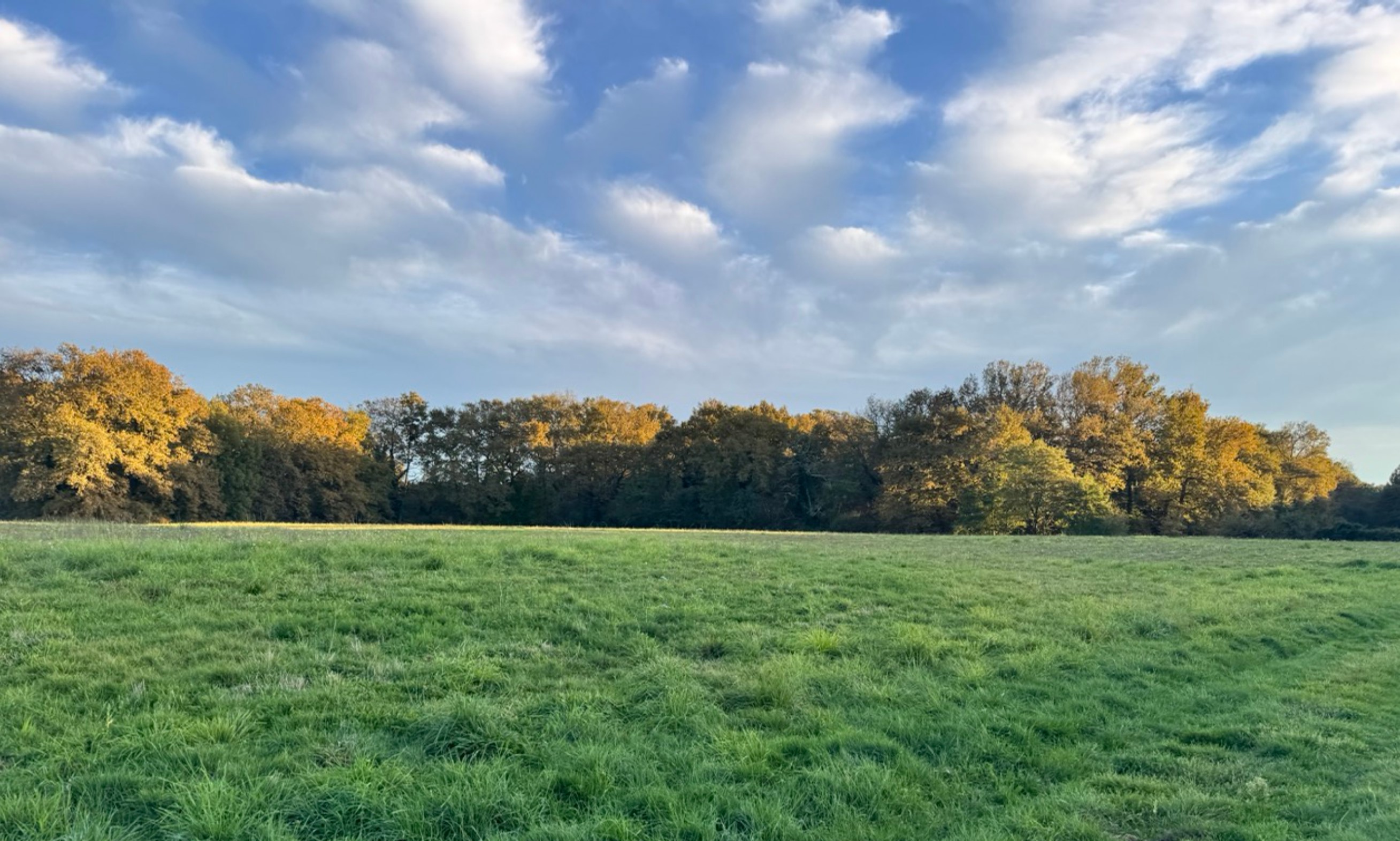 New afforestation covering 5.45 hectares in the Gers — 2