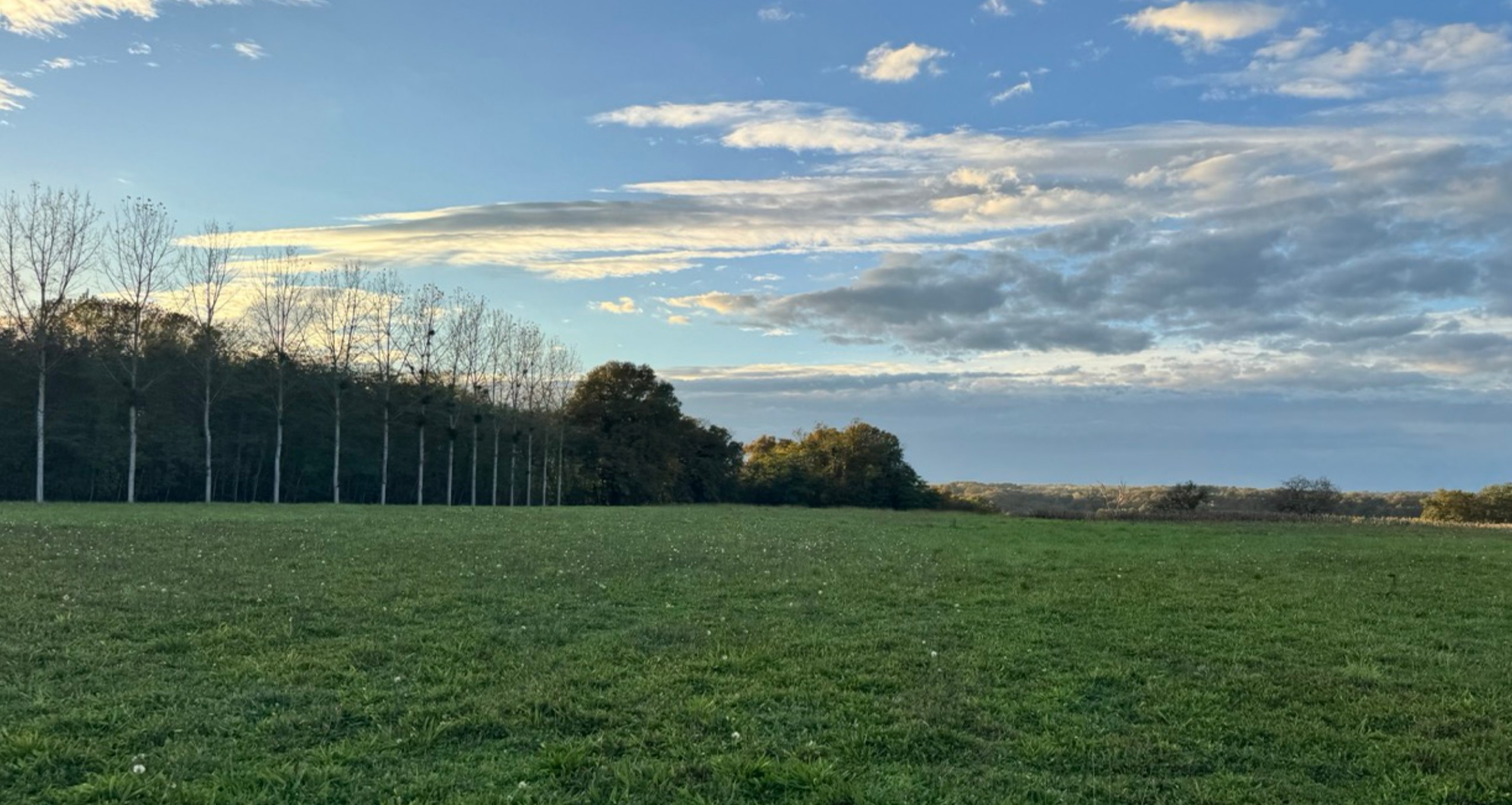 New afforestation covering 5.45 hectares in the Gers — 1