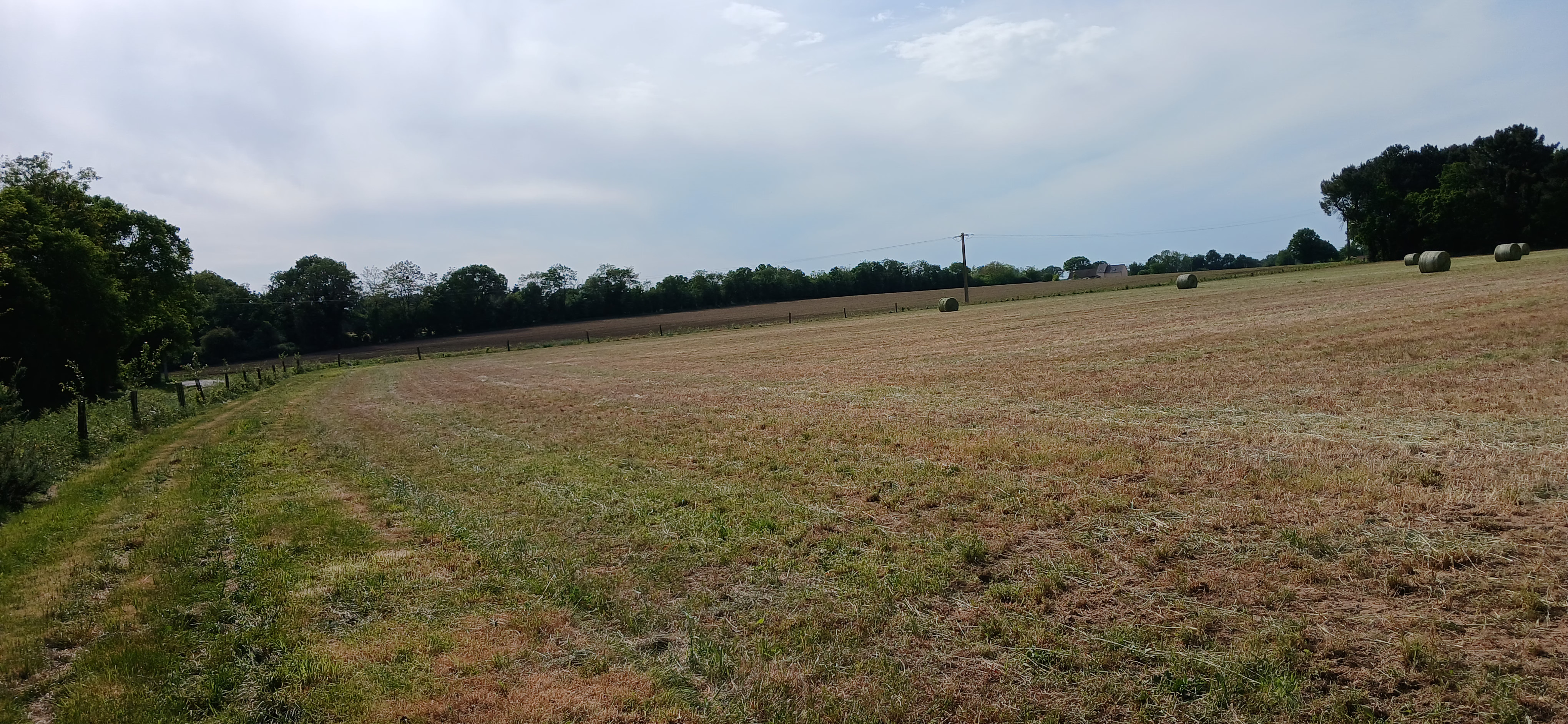 A diverse afforestation project covering 7.4 hectares in Roëzé-sur-Sarthe — 1