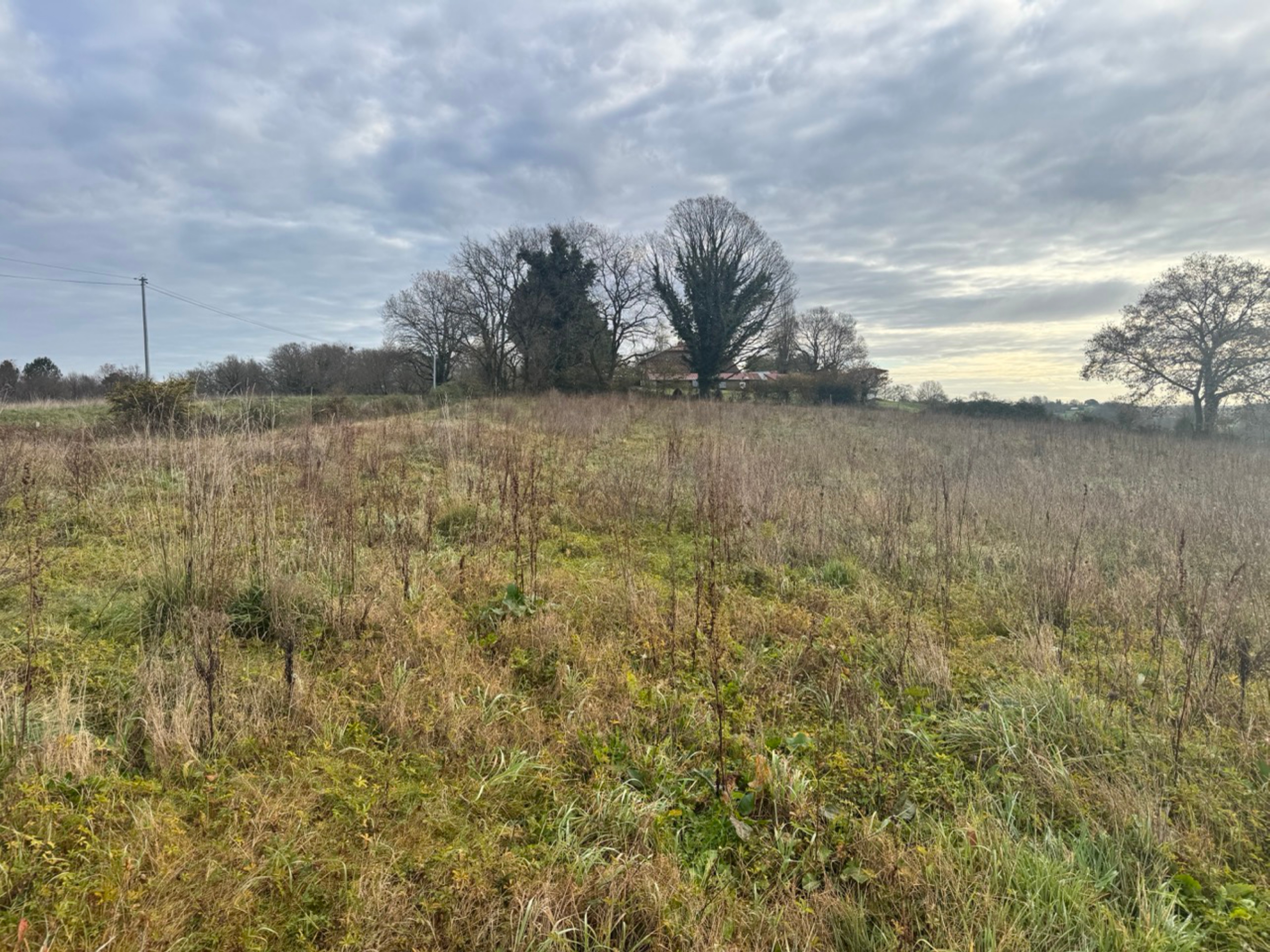 New afforestation in Doazit and Montaut — 2