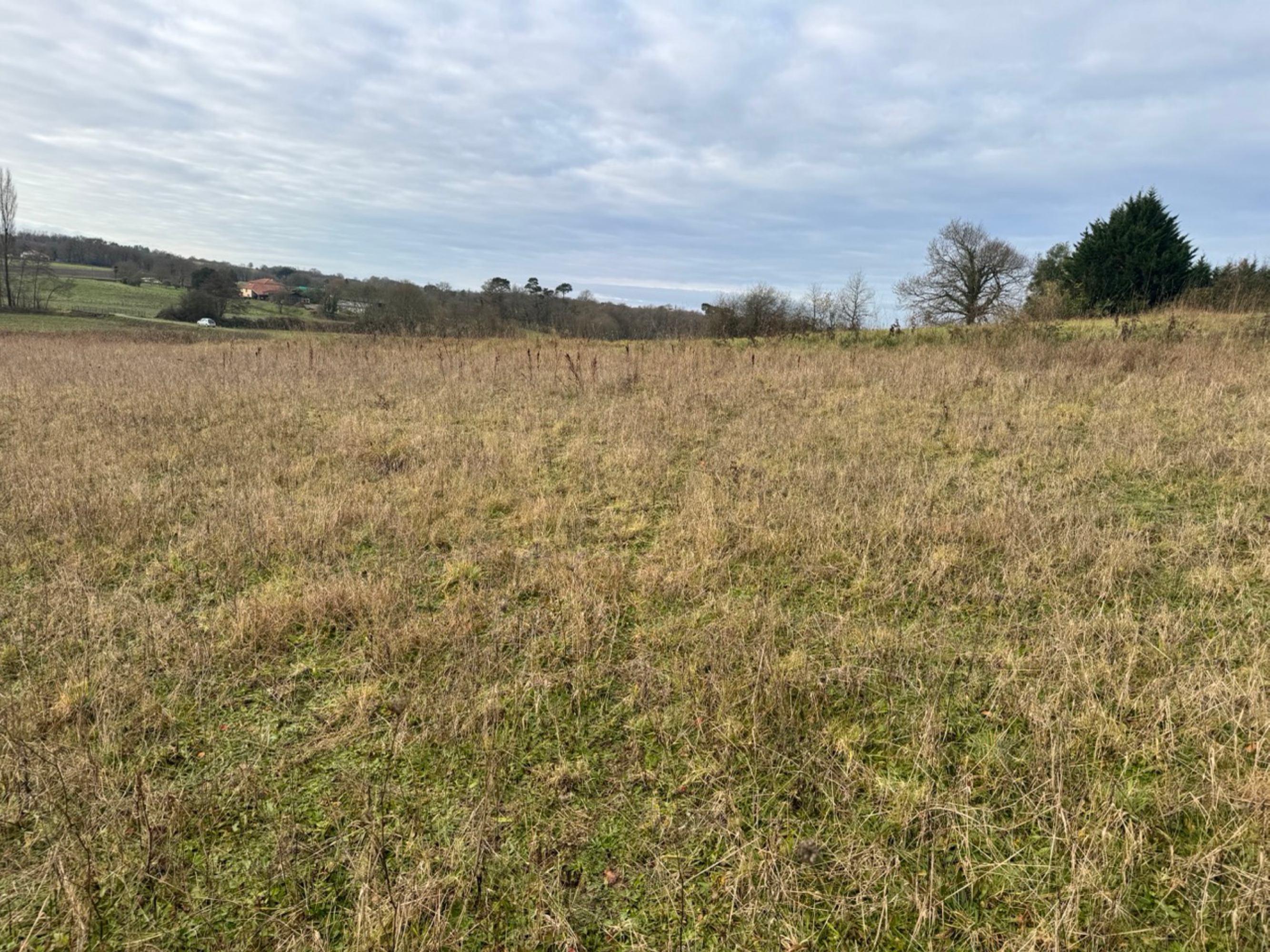 New afforestation in Doazit and Montaut — 1