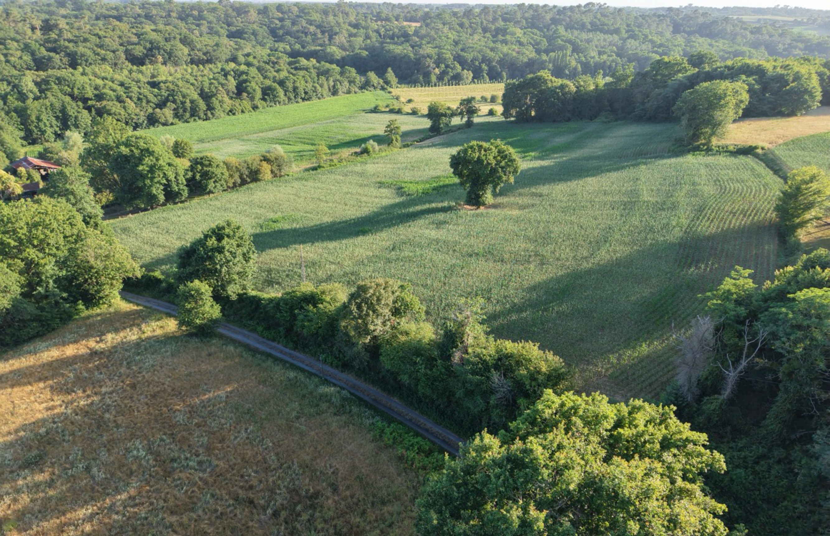 Création de 7,55 hectares de forêts à Sainte-Colombe