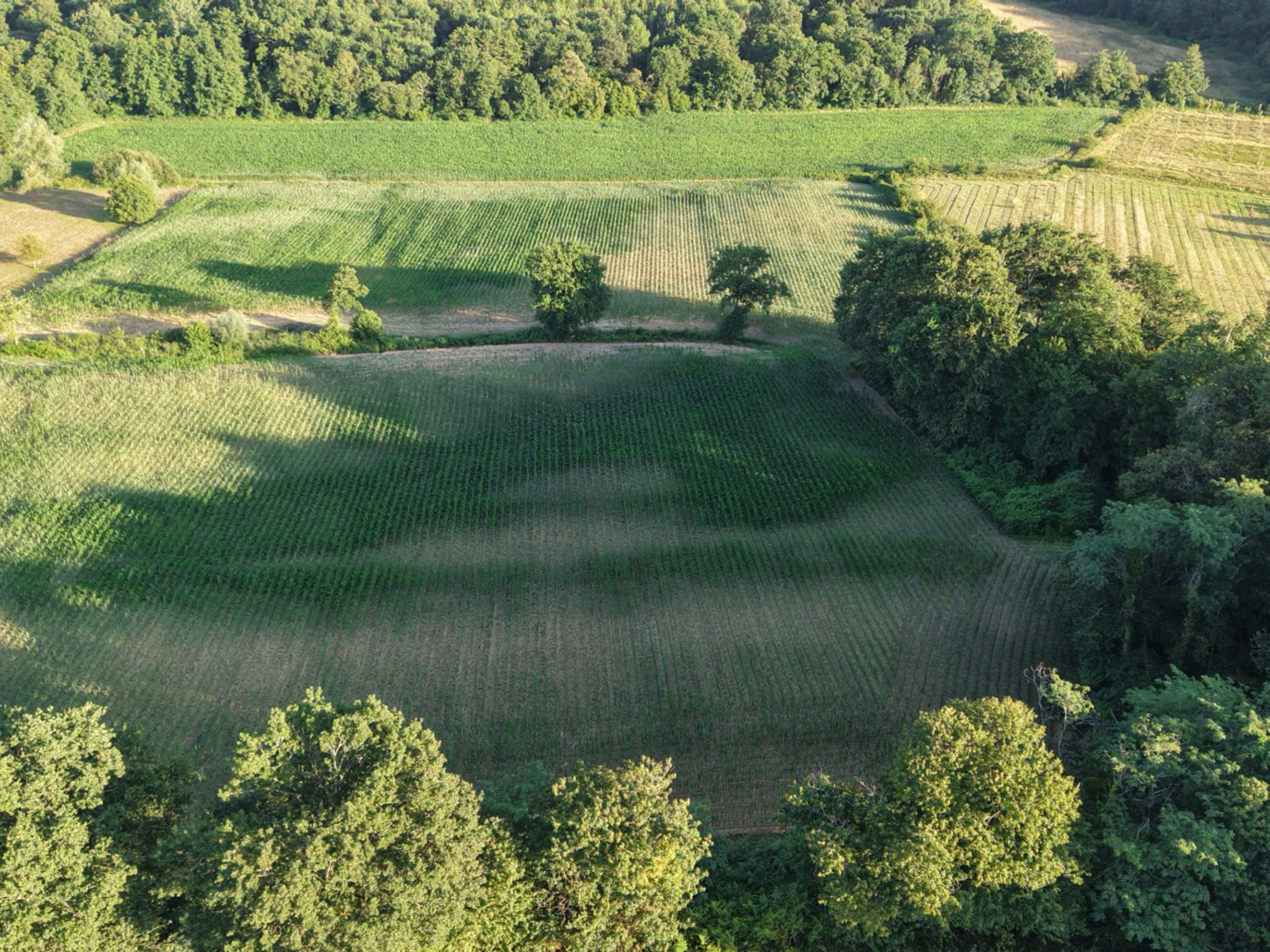 Création de 7,55 hectares de forêts à Sainte-Colombe — 1