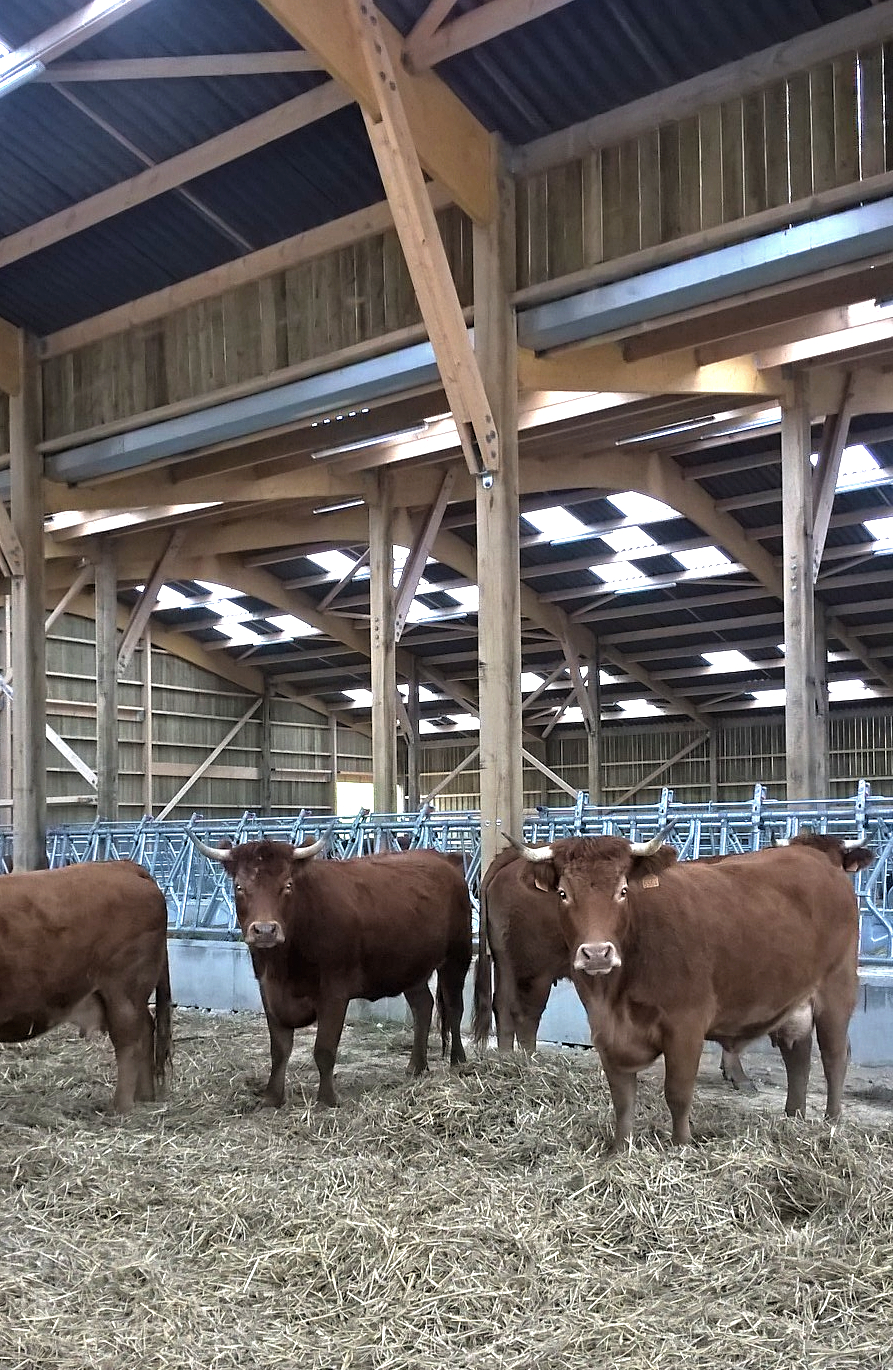 Stockage de carbone dans les bâtiments de grande portée en bois