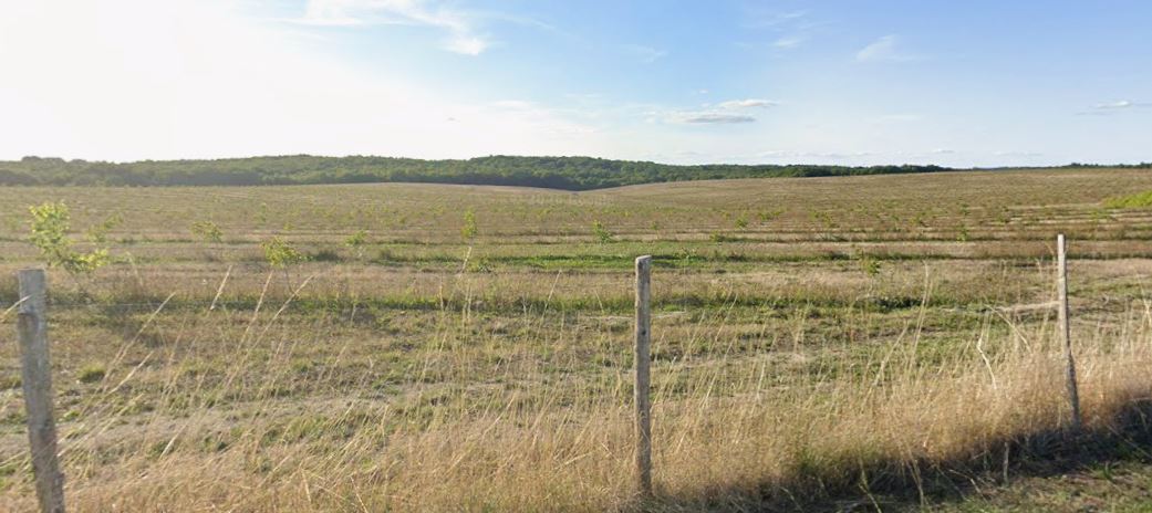 Nouvelle plantation de noyers à l'EARL de Flore — 2