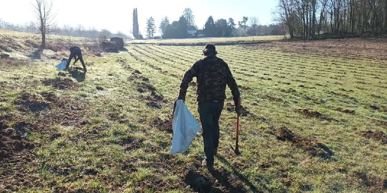 Boisement d'une terre agricole délaissée en Occitanie — 2